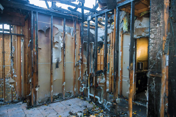 Professional Fire Damage Restoration technician working in Friona, TX
